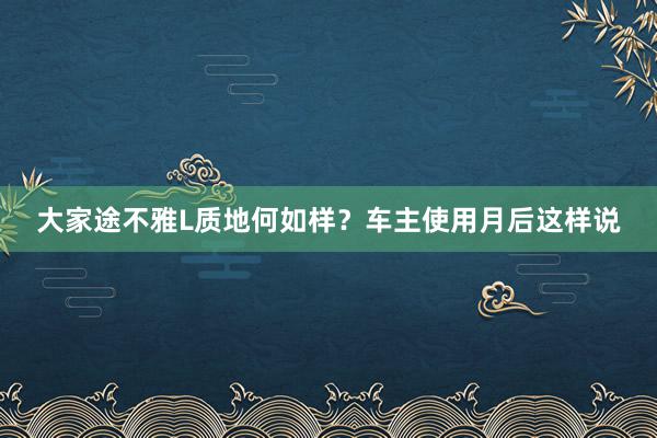 大家途不雅L质地何如样？车主使用月后这样说