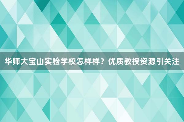 华师大宝山实验学校怎样样？优质教授资源引关注